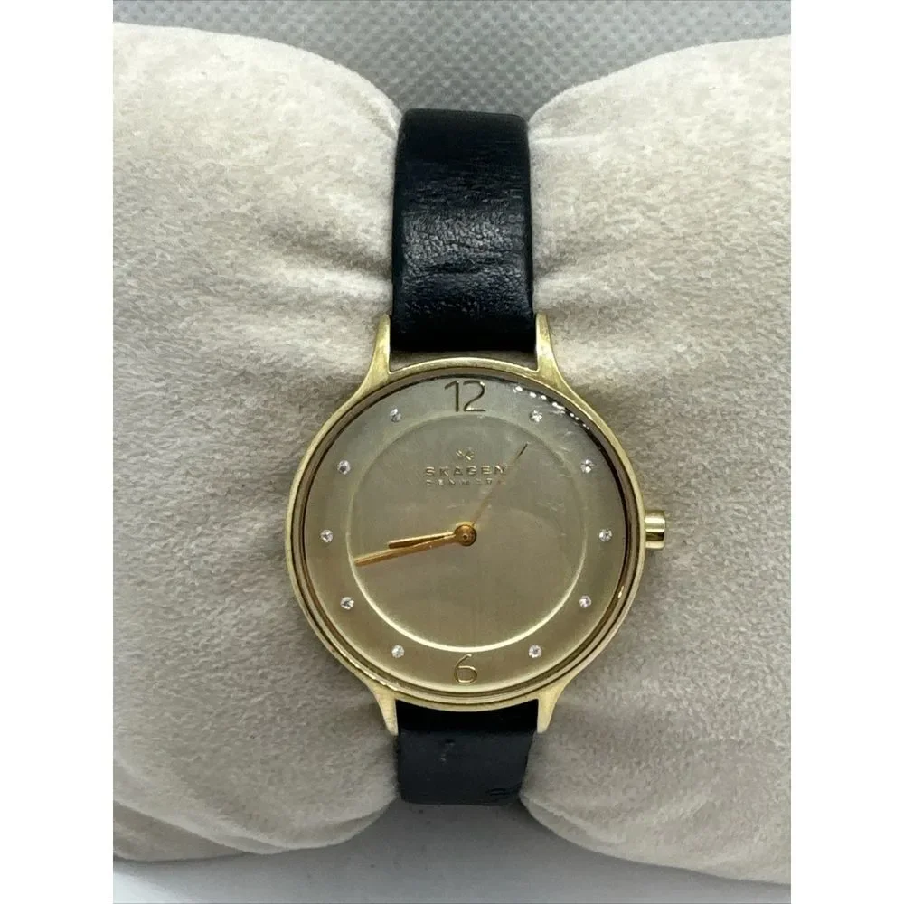 Skagen SKW2266 Women Black Leather Analog Dial Quartz Genuine Wrist Watch JNA961